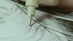 100mm makrolla kuvasin suurimman osan kuvituskuvista.